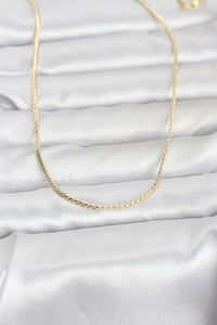 CM 14K Gold Renk Yassı Zincir Model 60 cm Kadın Kolye